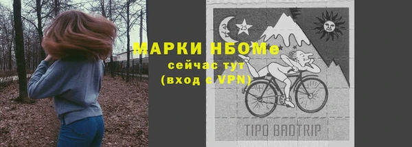 ПСИЛОЦИБИНОВЫЕ ГРИБЫ Белокуриха