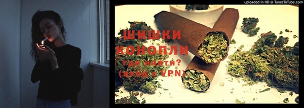 ПСИЛОЦИБИНОВЫЕ ГРИБЫ Белокуриха