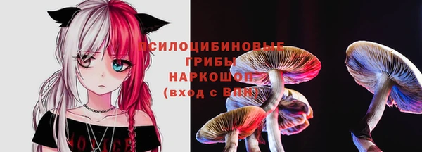ПСИЛОЦИБИНОВЫЕ ГРИБЫ Белокуриха