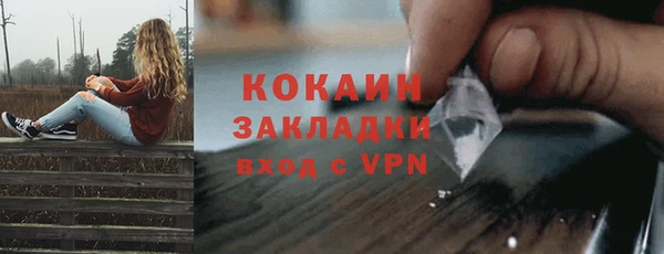 шишки Баксан