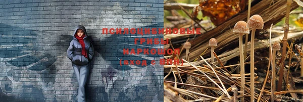 mdpv Белоозёрский