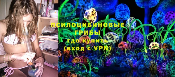 ПСИЛОЦИБИНОВЫЕ ГРИБЫ Белокуриха